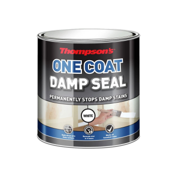 Thompsons One Coat Damp Seal